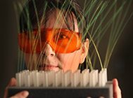 Software and Advanced Manufacturing